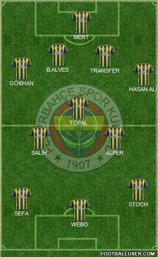 Fenerbahçe SK Formation 2013