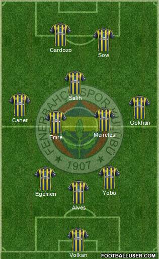 Fenerbahçe SK Formation 2013