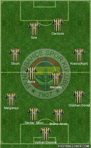 Fenerbahçe SK Formation 2013