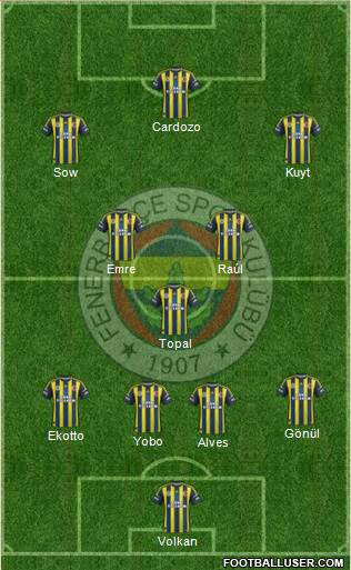 Fenerbahçe SK Formation 2013
