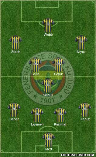 Fenerbahçe SK Formation 2013