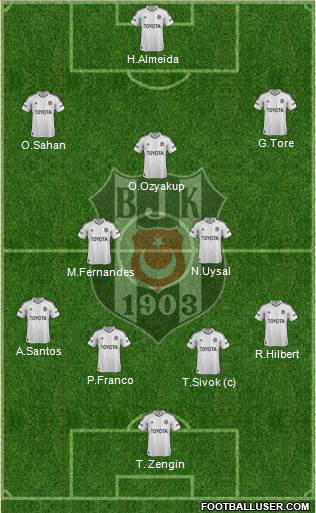 Besiktas JK Formation 2013