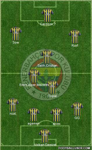 Fenerbahçe SK Formation 2013