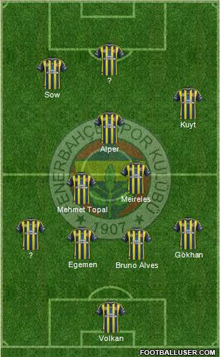 Fenerbahçe SK Formation 2013
