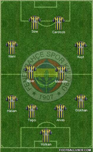 Fenerbahçe SK Formation 2013