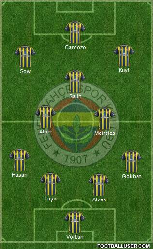 Fenerbahçe SK Formation 2013