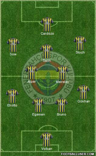 Fenerbahçe SK Formation 2013