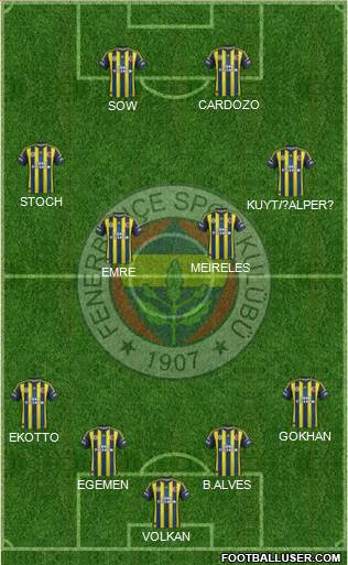 Fenerbahçe SK Formation 2013