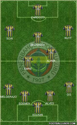 Fenerbahçe SK Formation 2013