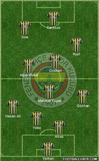 Fenerbahçe SK Formation 2013