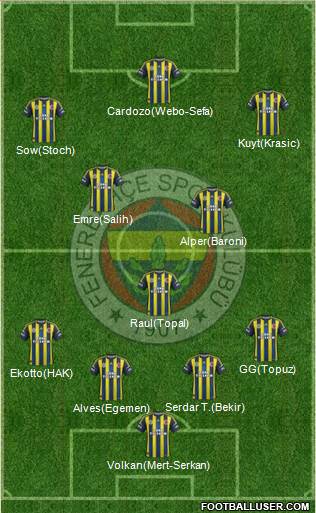 Fenerbahçe SK Formation 2013