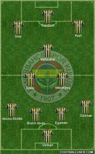Fenerbahçe SK Formation 2013