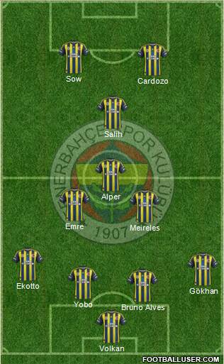 Fenerbahçe SK Formation 2013