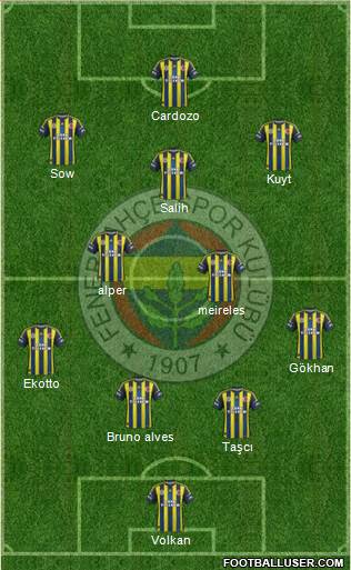 Fenerbahçe SK Formation 2013