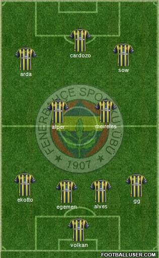 Fenerbahçe SK Formation 2013