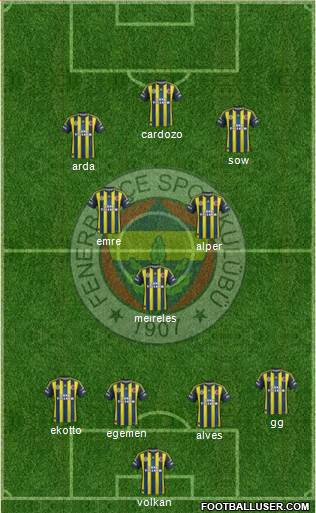 Fenerbahçe SK Formation 2013