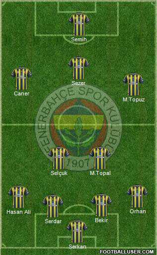 Fenerbahçe SK Formation 2013