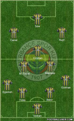Fenerbahçe SK Formation 2013