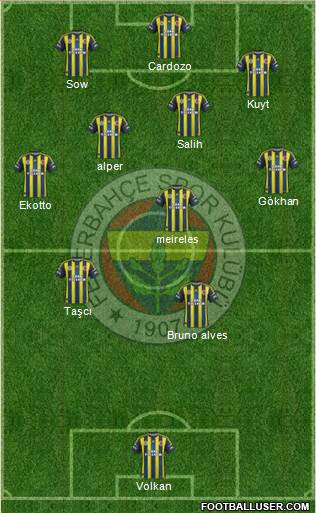 Fenerbahçe SK Formation 2013