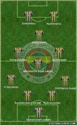 Fenerbahçe SK Formation 2013