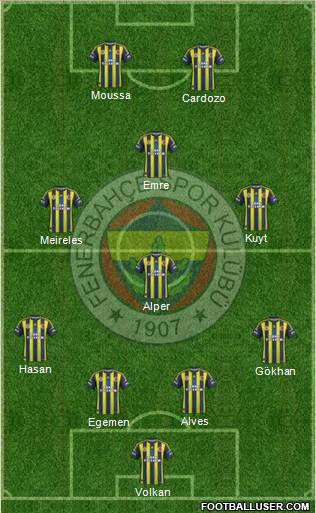 Fenerbahçe SK Formation 2013