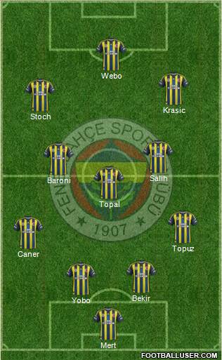 Fenerbahçe SK Formation 2013