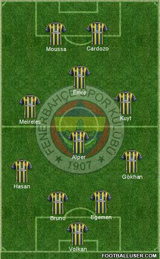 Fenerbahçe SK Formation 2013