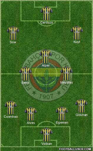Fenerbahçe SK Formation 2013