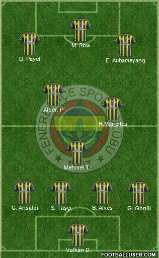 Fenerbahçe SK Formation 2013