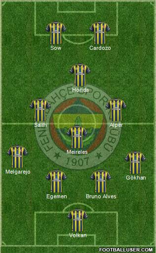 Fenerbahçe SK Formation 2013