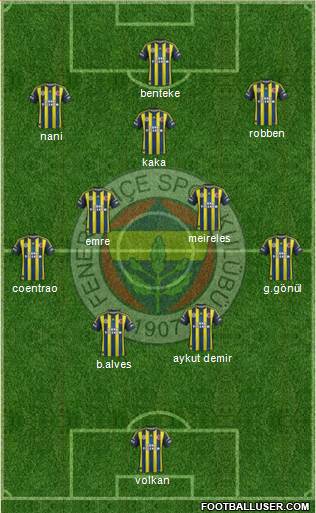 Fenerbahçe SK Formation 2013