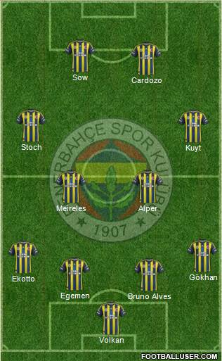 Fenerbahçe SK Formation 2013