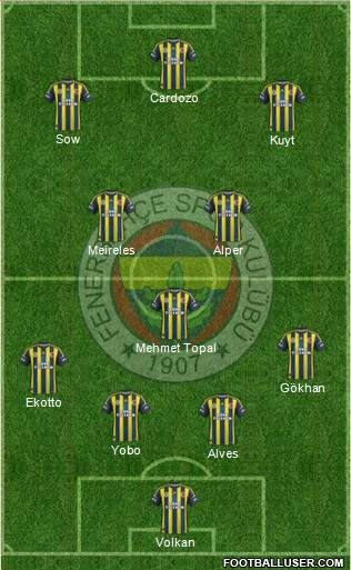 Fenerbahçe SK Formation 2013
