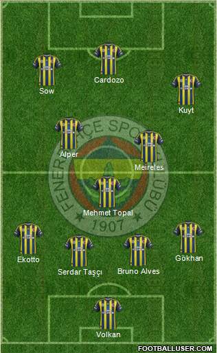 Fenerbahçe SK Formation 2013