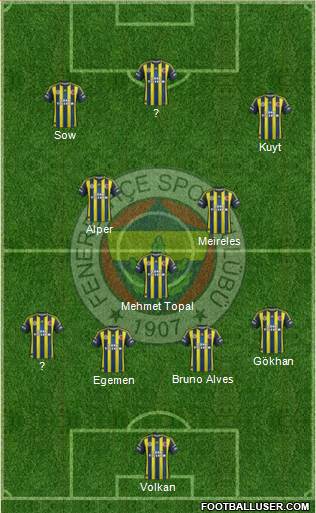 Fenerbahçe SK Formation 2013