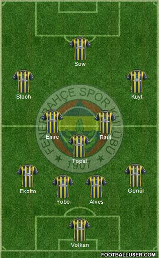 Fenerbahçe SK Formation 2013