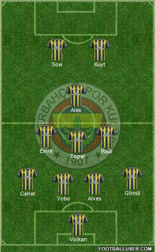 Fenerbahçe SK Formation 2013