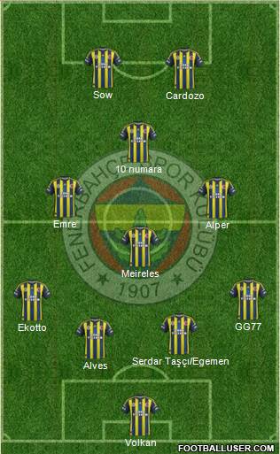 Fenerbahçe SK Formation 2013