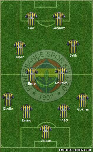 Fenerbahçe SK Formation 2013