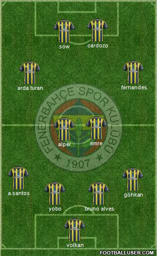Fenerbahçe SK Formation 2013