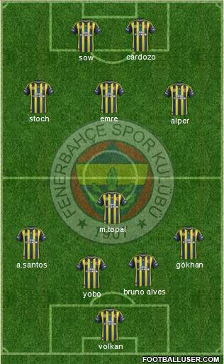 Fenerbahçe SK Formation 2013