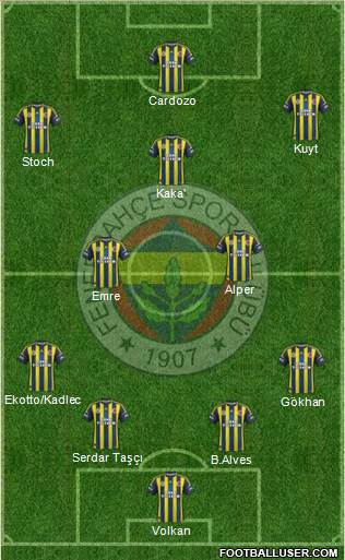 Fenerbahçe SK Formation 2013