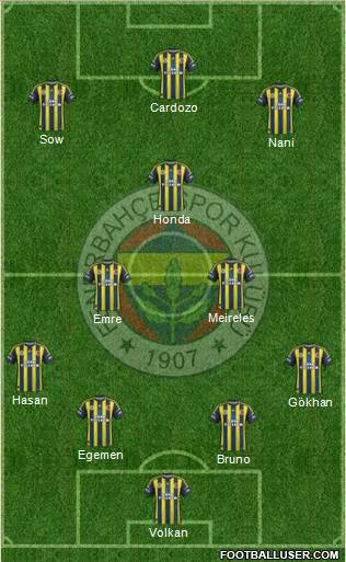 Fenerbahçe SK Formation 2013