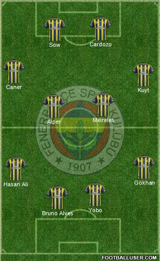 Fenerbahçe SK Formation 2013