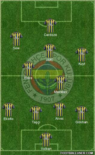 Fenerbahçe SK Formation 2013