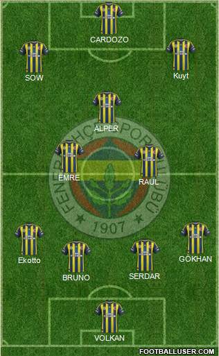 Fenerbahçe SK Formation 2013
