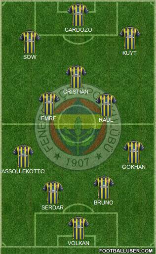 Fenerbahçe SK Formation 2013