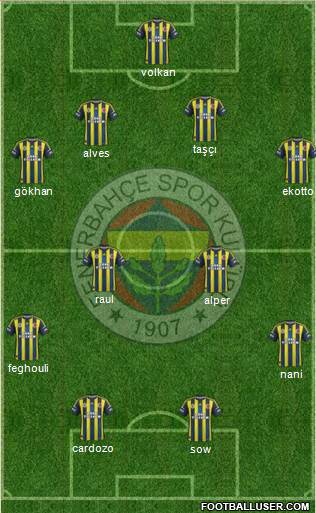 Fenerbahçe SK Formation 2013