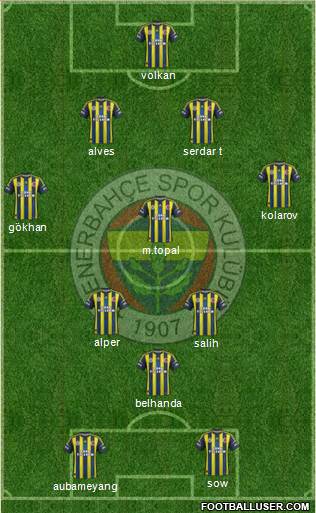 Fenerbahçe SK Formation 2013
