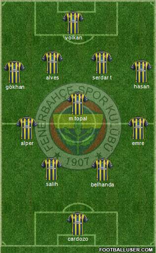 Fenerbahçe SK Formation 2013